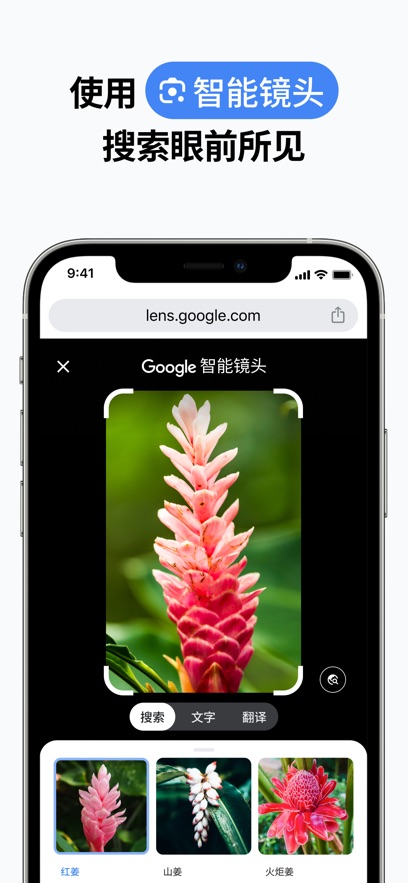 谷歌浏览器