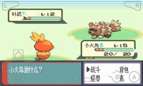 口袋妖怪