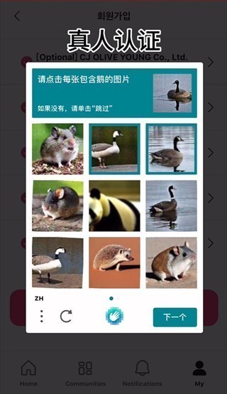 Mnet Plus中文版