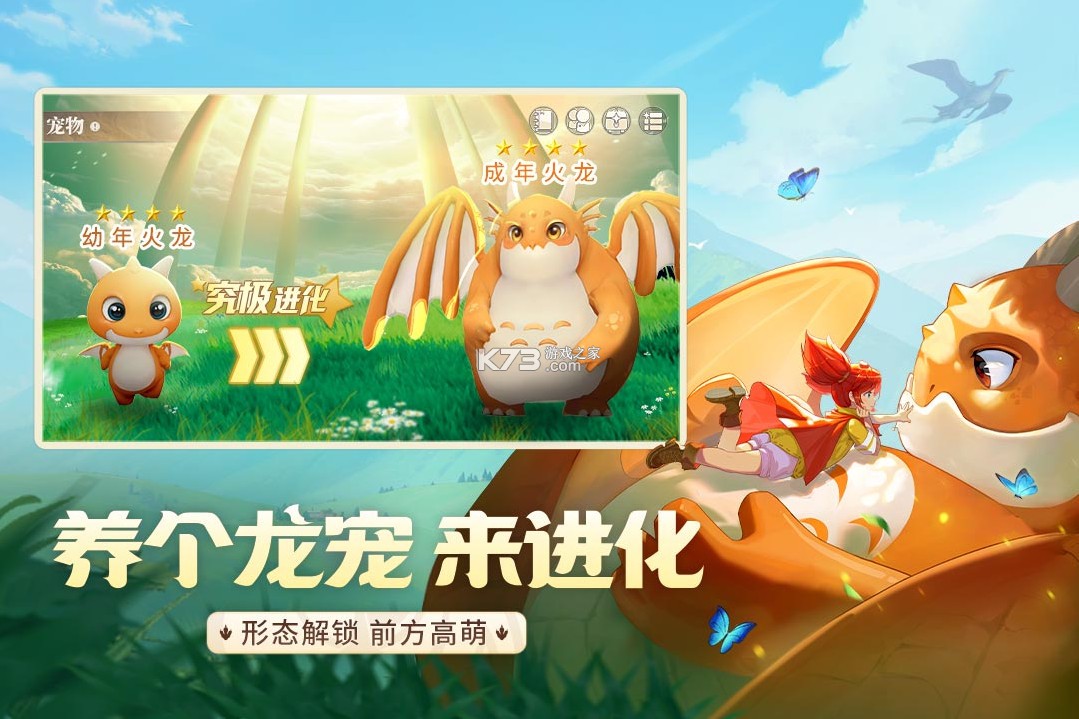 龙骑士学院