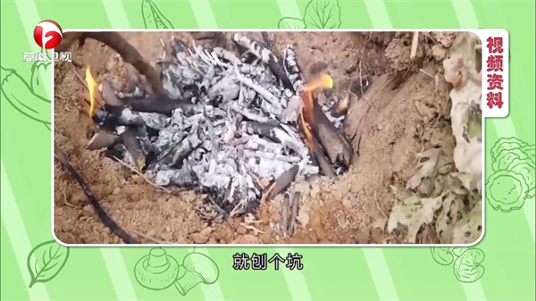 小飞电视最新版本