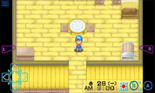 牧场物语男孩版