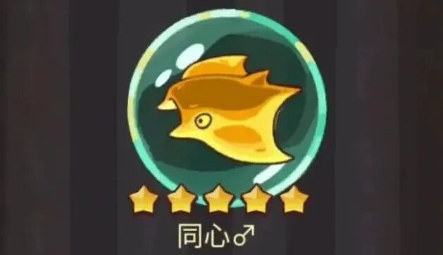 《咸鱼之王》最全金鱼兑换指南