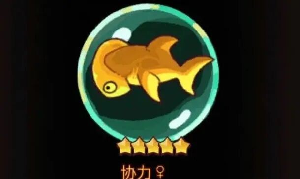 《咸鱼之王》最全金鱼兑换指南