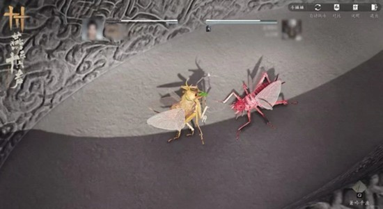 《燕云十六声》开封皇宫斗虫玩法介绍