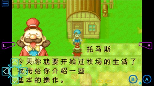 牧场物语男孩版