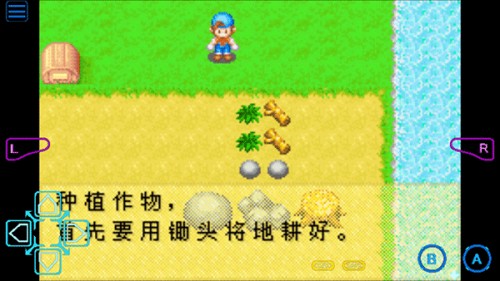 牧场物语男孩版