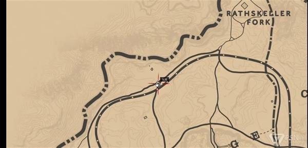 荒野大镖客2难找的动物汇总