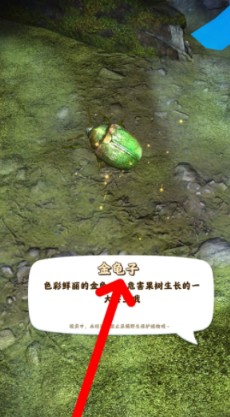 夺笋高手游戏
