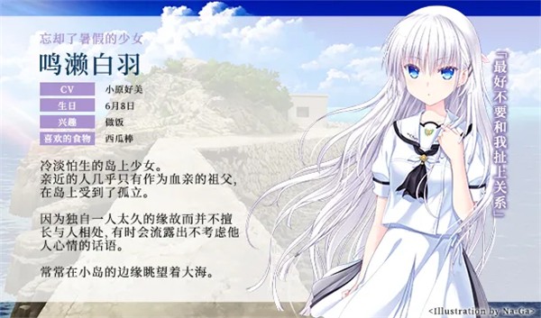 夏日口袋中文版