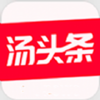 汤头条正版