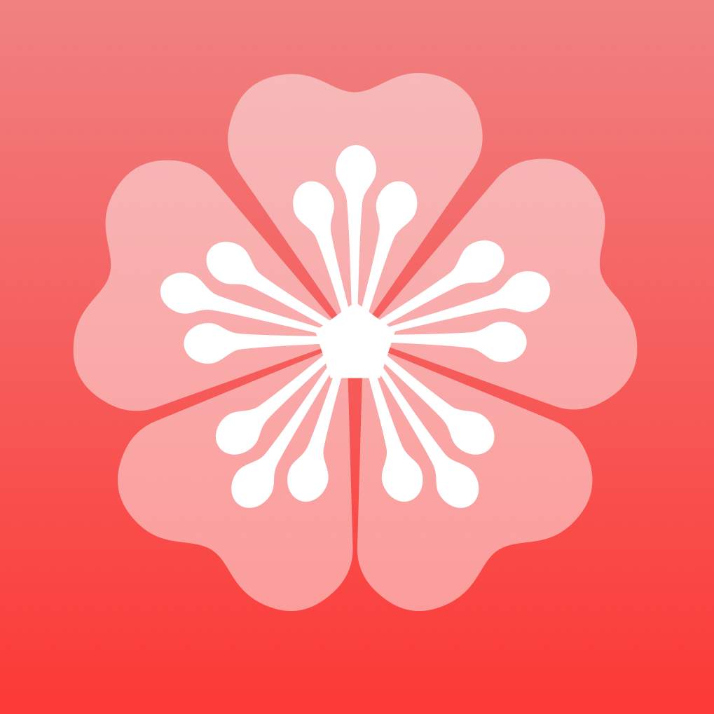 梅花视频